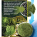 Exo Terra PT2478 Green Moss Ball for Water Clarity and Odor Control in 10-20 Gallon Terrariums