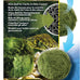 Exo Terra PT2478 Green Moss Ball for Water Clarity and Odor Control in 10-20 Gallon Terrariums