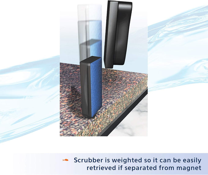 Aqueon Aquarium Algae Scraper for Glass/Acrylic, Small, Black - Easy Fish Tank Cleaning