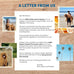 A Better Treat Freeze Dried Organic Pumpkin Dog and Cat Treats, Single Ingredient, Natural, Healthy