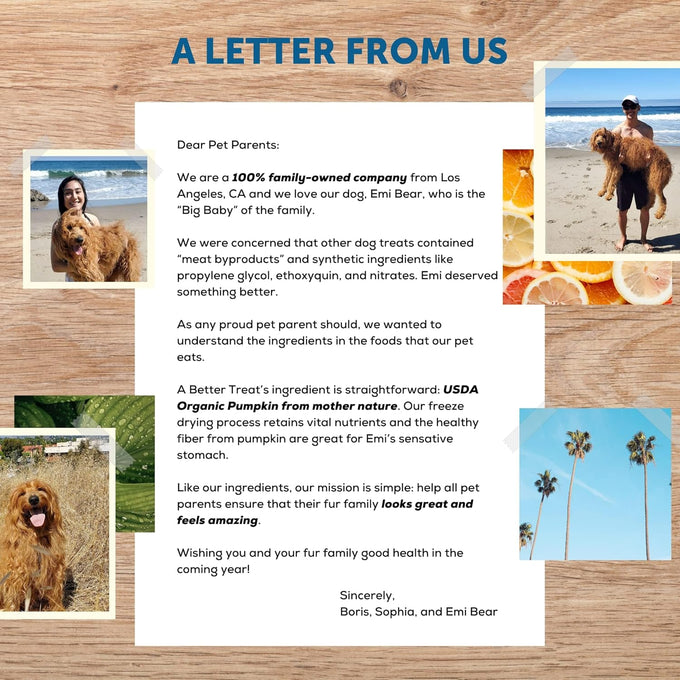 A Better Treat Freeze Dried Organic Pumpkin Dog and Cat Treats, Single Ingredient, Natural, Healthy