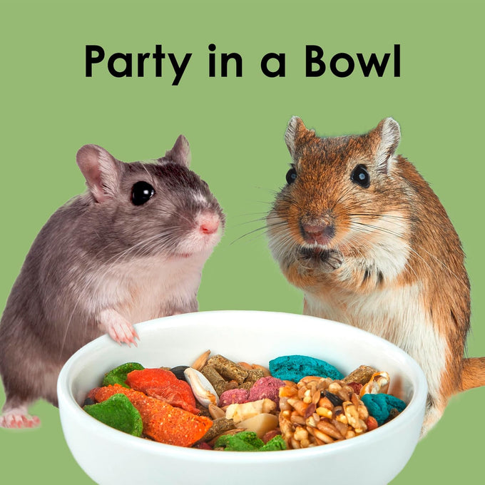 Kaytee Fiesta Hamster and Gerbil Food, 4.5 Pounds, Nutritious and Fun Blend for Dental Health and Digestion