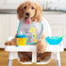 Fromm Puppy Gold Premium Dry Dog Food - Chicken Recipe - 5 lb