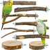8 PCS natural apple wood bird perch set for small birds - parakeets, budgies, cockatiels - safe chew toys & climbing stand