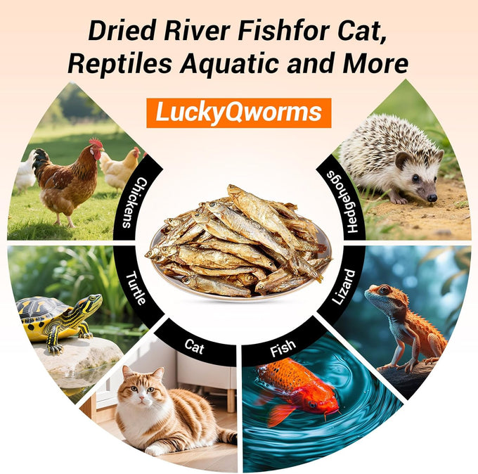 LuckyQworms Dried Freshwater Fish 1 Lbs Resealable Bag – Natural High-Protein (30% Min) Food for Turtles, Reptiles, Large Tropical Fish, Cats, and Small Pets