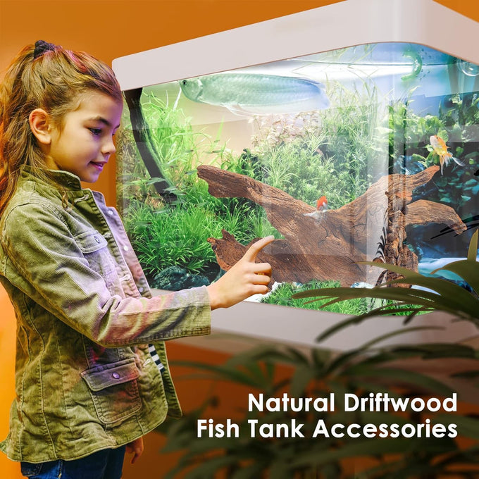 Jorewood natural aquarium driftwood 3-piece set for fish tanks and reptile terrariums, low tannin, 7-11 inch, easy to sink