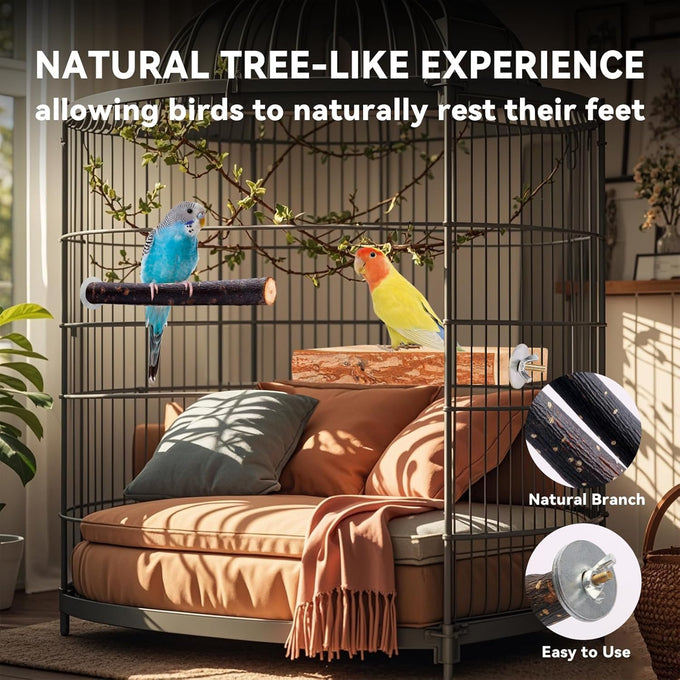 parakeet perch budgie perch wood stand fork toys multi-branch perch platform toy for small conures cockatiel parrotlet lovebird parrot finches