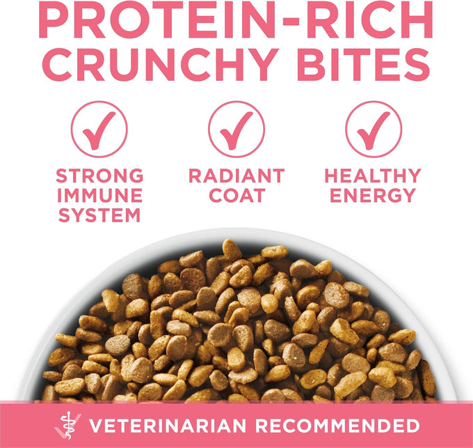 Purina ONE High Protein Natural Dry Kitten Food 7 lb Bag Plus Healthy Kitten Formula