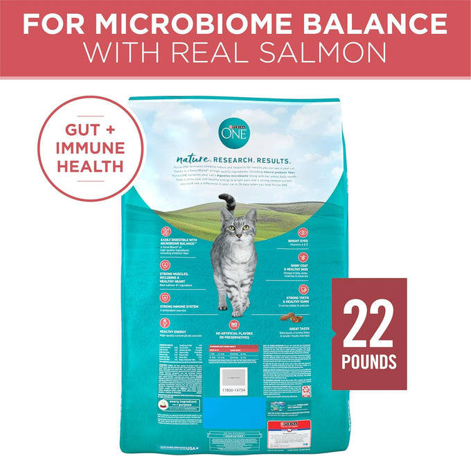 Purina ONE Natural Dry Cat Food with Real Salmon, 22 lb Bag - Digestive Care Formula