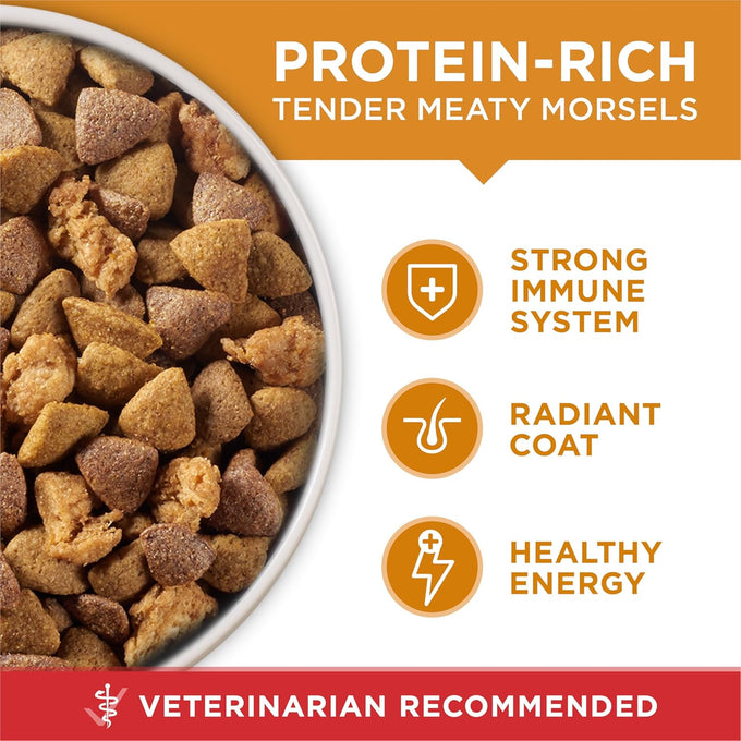 Purina ONE Chicken & Rice Dry Dog Food - 8 lb