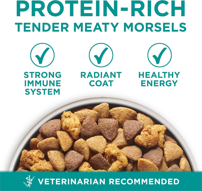 Purina One Plus Digestive Health Dry Dog Food - 31.1 Lb