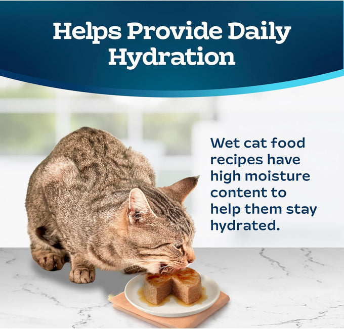 Blue Buffalo Beef Entrée Wet Cat Food, 24 Count, 5.5-oz Cans, Made with Natural Ingredients
