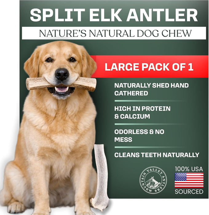 Mountain Valley Grade A Whole Large Elk Dog Antlers, 100% Natural & Organic, No Odor, No Mess, Long Lasting