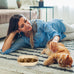 6 inch Wide Shallow Cat Bowls, 4Pcs, Food-Grade PP for Small Cats and Dogs, Whisker Fatigue Relief, Easy to Clean, Multicolor