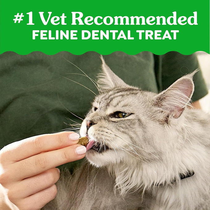 Feline Greenies cat dental treats, adult natural, 21 oz tub, veterinarian-recommended, catnip flavor