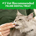 Feline Greenies cat dental treats, adult natural, 21 oz tub, veterinarian-recommended, catnip flavor