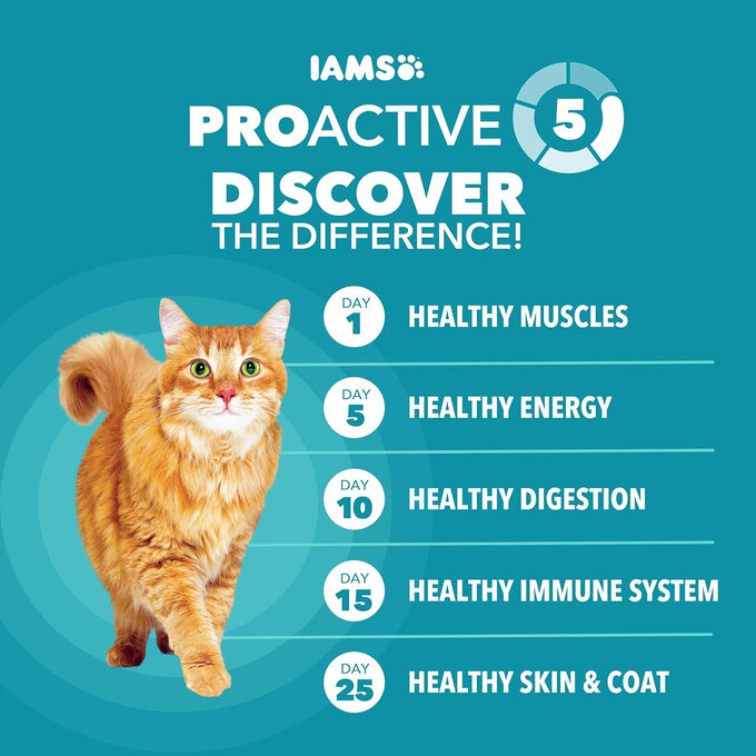 iams proactive health dry cat food indoor weight and hairball care recipe with salmon 7 lb bag