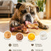 3 Pack Dog Chew Toys, Indestructible Bacon Flavor, Medium Large Dog Toys, Nylon, Realistic Branch Shapes