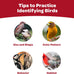 Kaytee 6-Ounce Wild Bird Seed & Mealworm Seed Treat Cake, Bluebird, Chickadee, Woodpecker, High-Protein Food