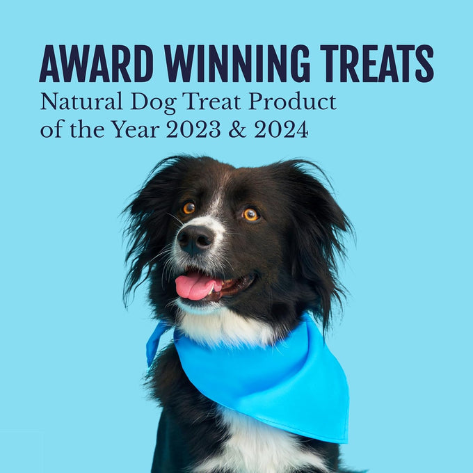 Snif-Snax Salmon Bites Dog Treats, All Natural, Human Grade, Grain Free, High Protein, Soft Salmon Snacks
