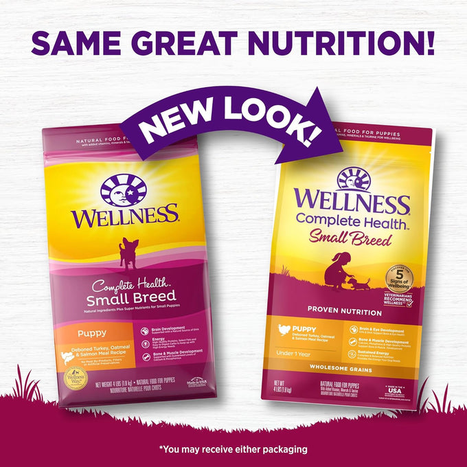 Wellness Complete Health small breed puppy dry dog food in 4 lb bag, wholesome grain kibble, natural, turkey, oatmeal, and salmon recipe