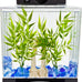 Tetra LED half moon aquarium kit with clear plastic fish tank ideal for betta fish care, small, 1.1 gallons, energy-efficient LED lighting