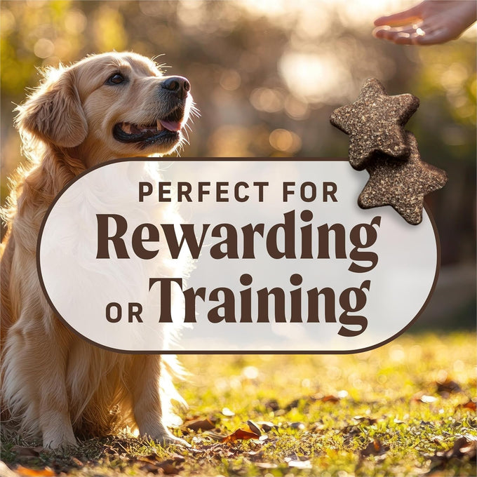 Merrick Power Bites Soft & Chewy Dog Treats with Real Deboned Chicken, Grain-Free Recipe, Fortified with Omega Fatty Acids and Minerals, Star-Shaped for Training, 6 oz Resealable Bag
