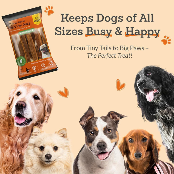 Natural Beef Jerky Dog Treats, 6" Long, 30 Count/Pack, Advance Pet Products
