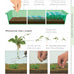 companionhouse-books-aquarium-plants-essential-guide-paperback-2004