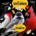 Cool Birds Safflower sunflower hearts peanuts 10 lb wild bird seed no corn milo millet outside feeders gourmet bird food