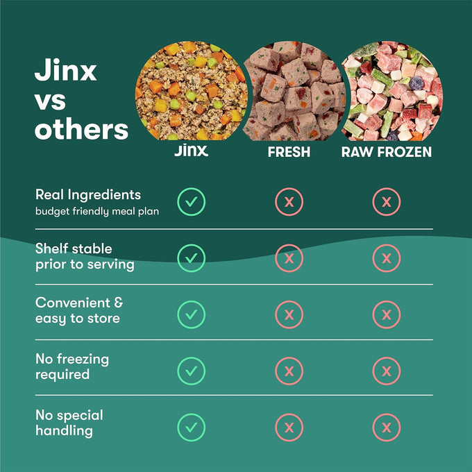 Jinx Salmon Grain Free Wet Dog Food Toppers, 9oz, 6 Pack