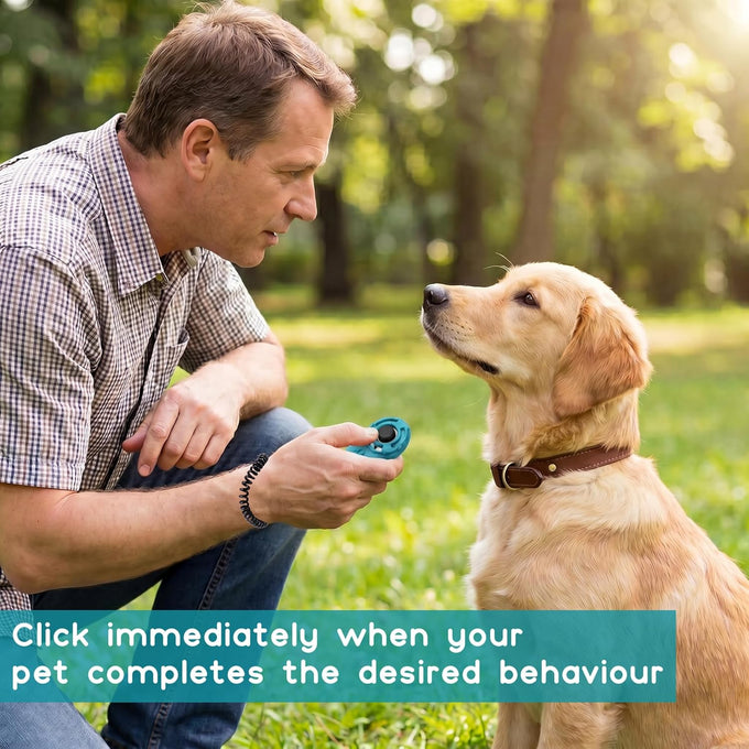black-blue dog training clicker with adjustable wrist and keyring for pet training tools