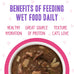 Weruva B.F.F. OMG - Best Feline Friend Oh My Gravy!, Rainbow A Gogo Variety Pack! Cat Food, 3oz Pouch (Pack of 12)