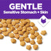 Purina Gentle Sensitive Stomach and Skin Cat Food with Turkey, 13 lb. Bag, Adult Dry Cat Food
