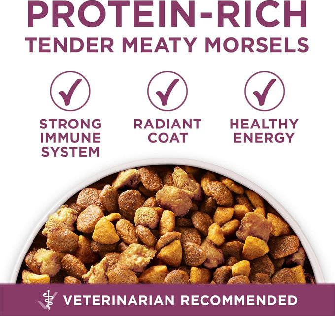 Purina ONE Healthy Puppy Formula Natural Dry Dog Food - 8 lb
