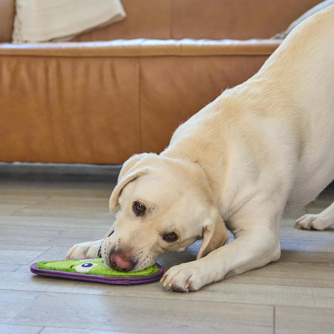 Outward Hound Medium Avocado Green Tough Skinz Durable Squeaky Dog Toy, Two Layers for Chew-Resistant Play