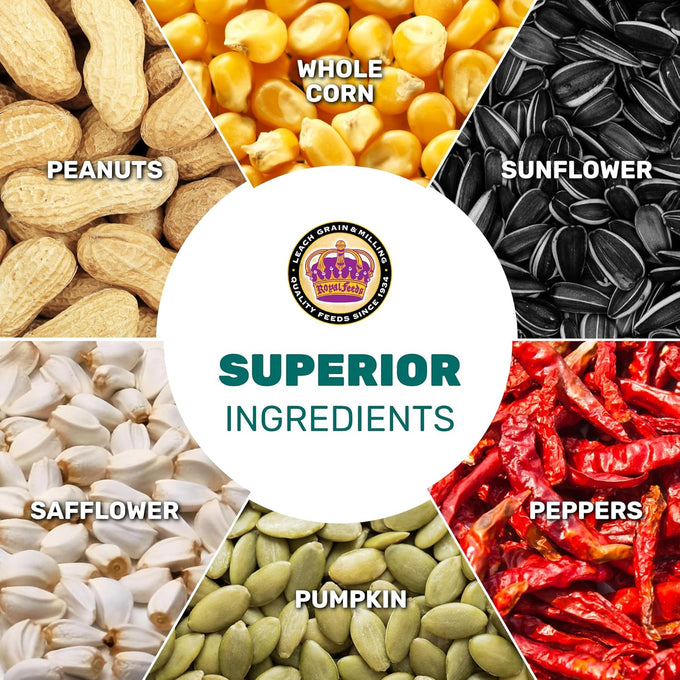 Parrot Mix 5 Lbs, Premium Parrot Food, Nutrient-Rich Blend for Energy, Growth, Digestive Health, Balanced Diet