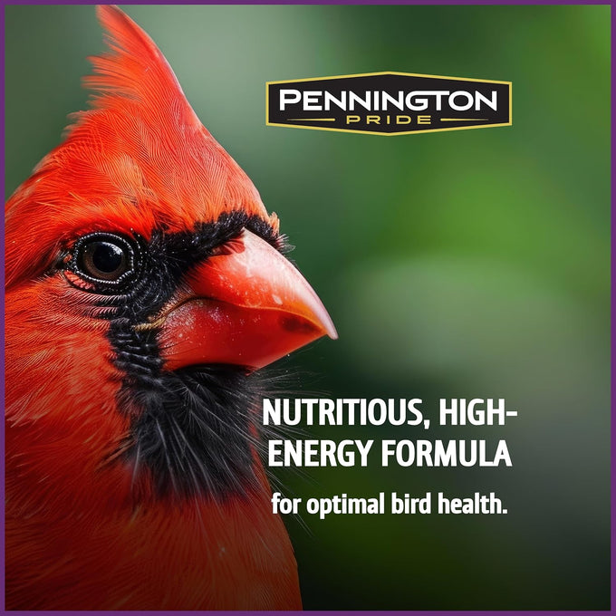 Pennington Pride songbird wild bird seed 10-lb bag advanced nutrition formula bird food