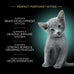 sheba perfect portions kitten wet cat food, 2.6 oz twin-pack trays, 24 count, 48 servings