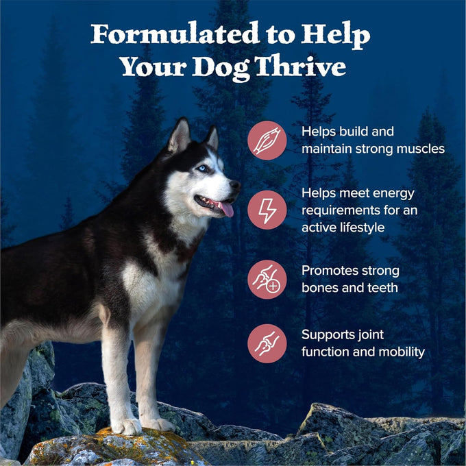 Blue Buffalo Wilderness high-protein dry dog food for adults, salmon recipe, 13-lb bag, no chicken by-products