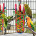 Kyouki parakeets toys, 2PCS bird chewing toys for cockatoos, conures, love birds and small parrots with natural materials, vibrant colors and easy-hang design