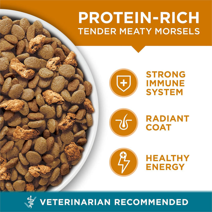 Purina one natural dry cat food tender selects blend with real chicken 16 lb bag