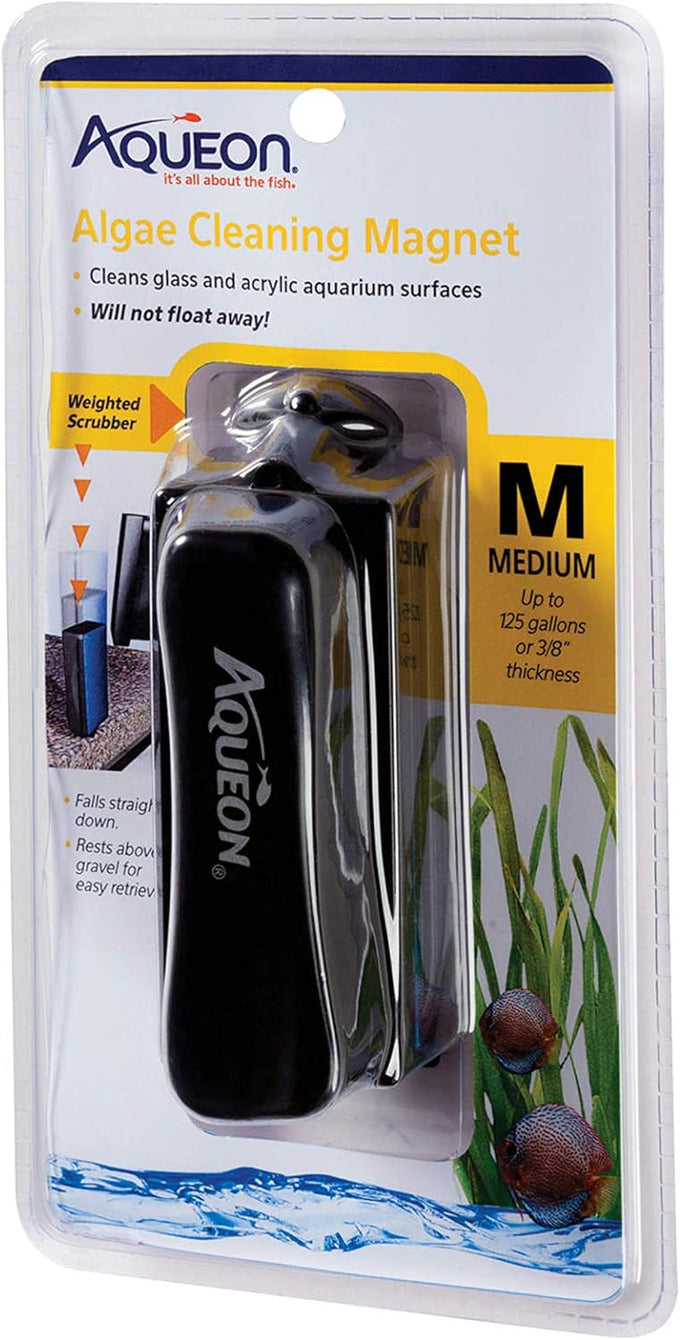 Aqueon Aquarium Algae Scraper for Glass/Acrylic, Small, Black - Easy Fish Tank Cleaning