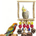 Plant-style parrot toy with sisal-wrapped perch for parakeets, cockatiels, and conures - natural pine swing