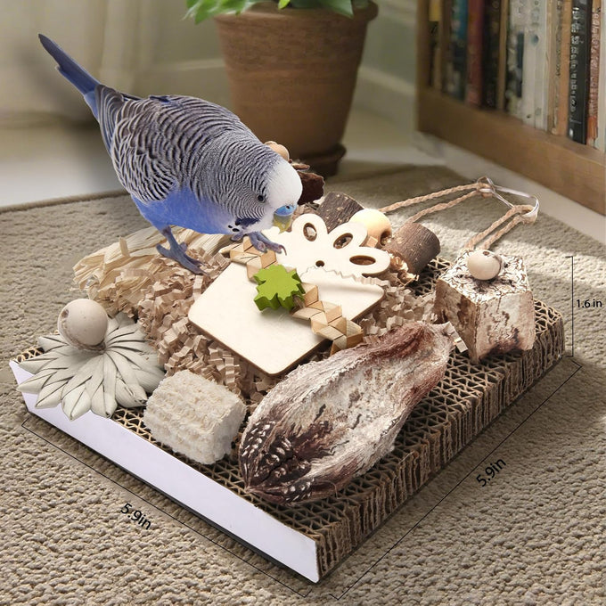 kyouki bird toys medium parakeet parrot conure hanging chewable cardboard foraging suitable budgies cockatiels lovebirds sun conures
