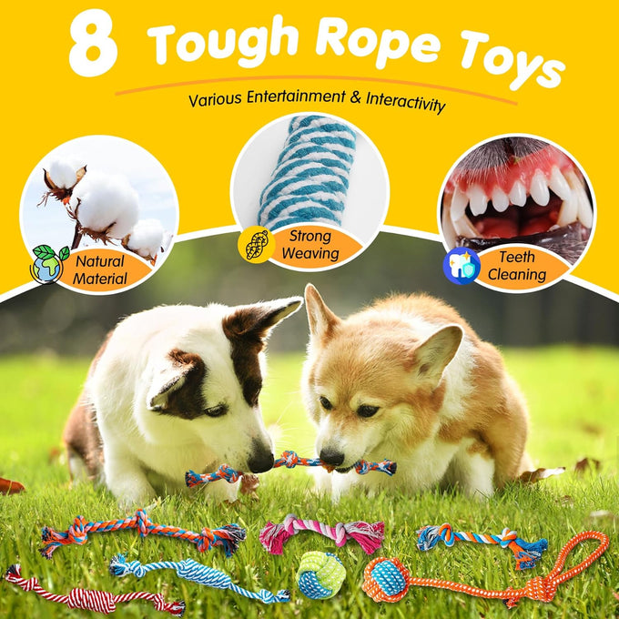 zeaxuie dog chews 25 pack luxury rope toys squeaky puppy toys for small dogs teething