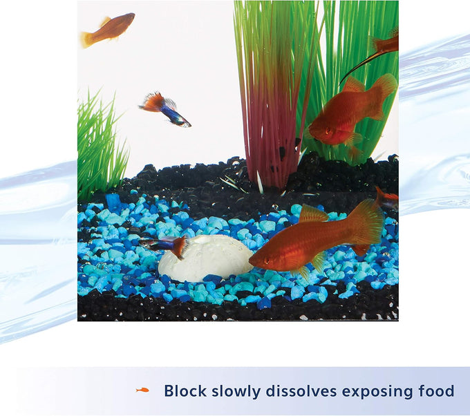Aqueon 7 day tropical fish slow-release food for up to 6 medium-sized fish, 1 pack