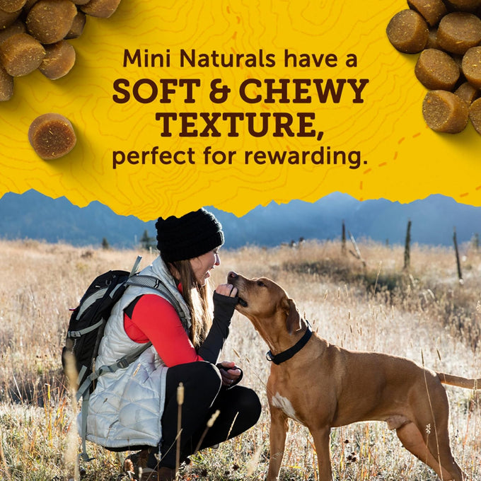 Zuke's Mini Naturals Dog Treats with Peanut Butter, 1lb, Soft, No Corn, Wheat, or Soy
