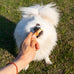 MON2SUN Chicken Wrapped Calcium Bones, 2.3" Treats for Puppies