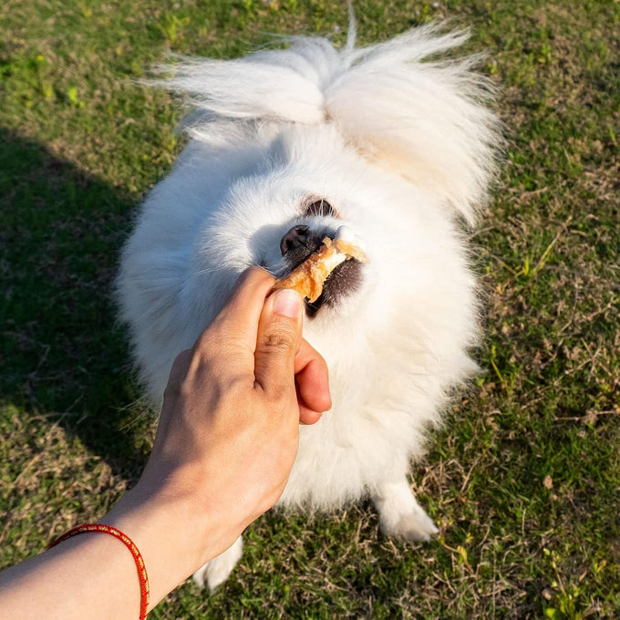 Mon2sun chicken wrapped calcium bones for small dogs, 2.3 inch training treats, 28 count, no rawhide, teeth cleaning, puppy chews